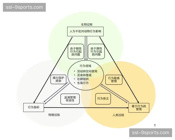 本季度内场馆分区管控逻辑更加灵活 满足各类活动切换需求