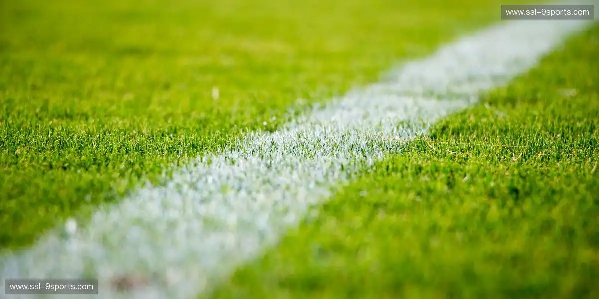 赛事执行效果更加统一呈现